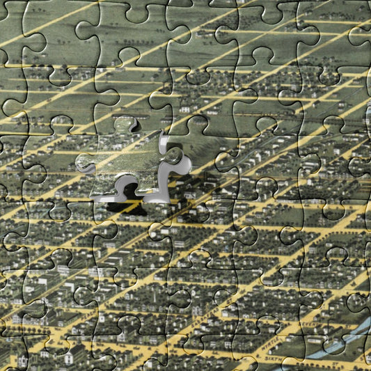 1870's Erie Bird's Eye View Jigsaw Puzzle